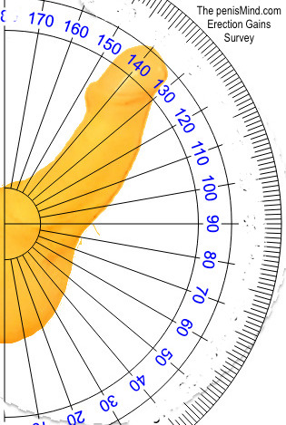 A protractor measuring the angle of an erect penis  - illustration