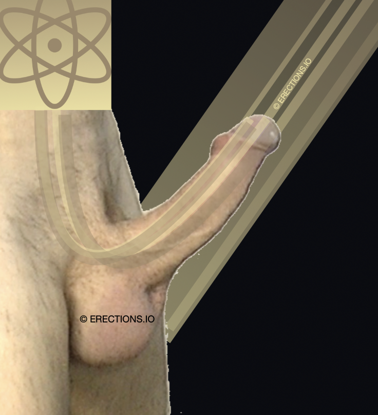 side on view of an erect penis and scrotum with gold light rays shining down on penis to signify a soluble energy