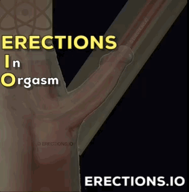 an erect penis receiving some magic energy from ERECTIONS.IO
