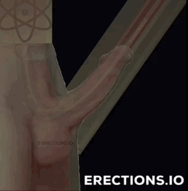 animated penis throbbing HARDer