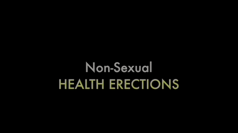 animated image showing a HEALTH erection in the absence of sexual arousal - from muscle contraction only, partly obscured