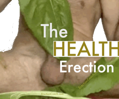 Spinach leaf covering erect penis but showing testicles